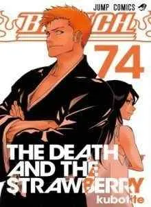 Bleach Xv1 Bahasa Indonesia